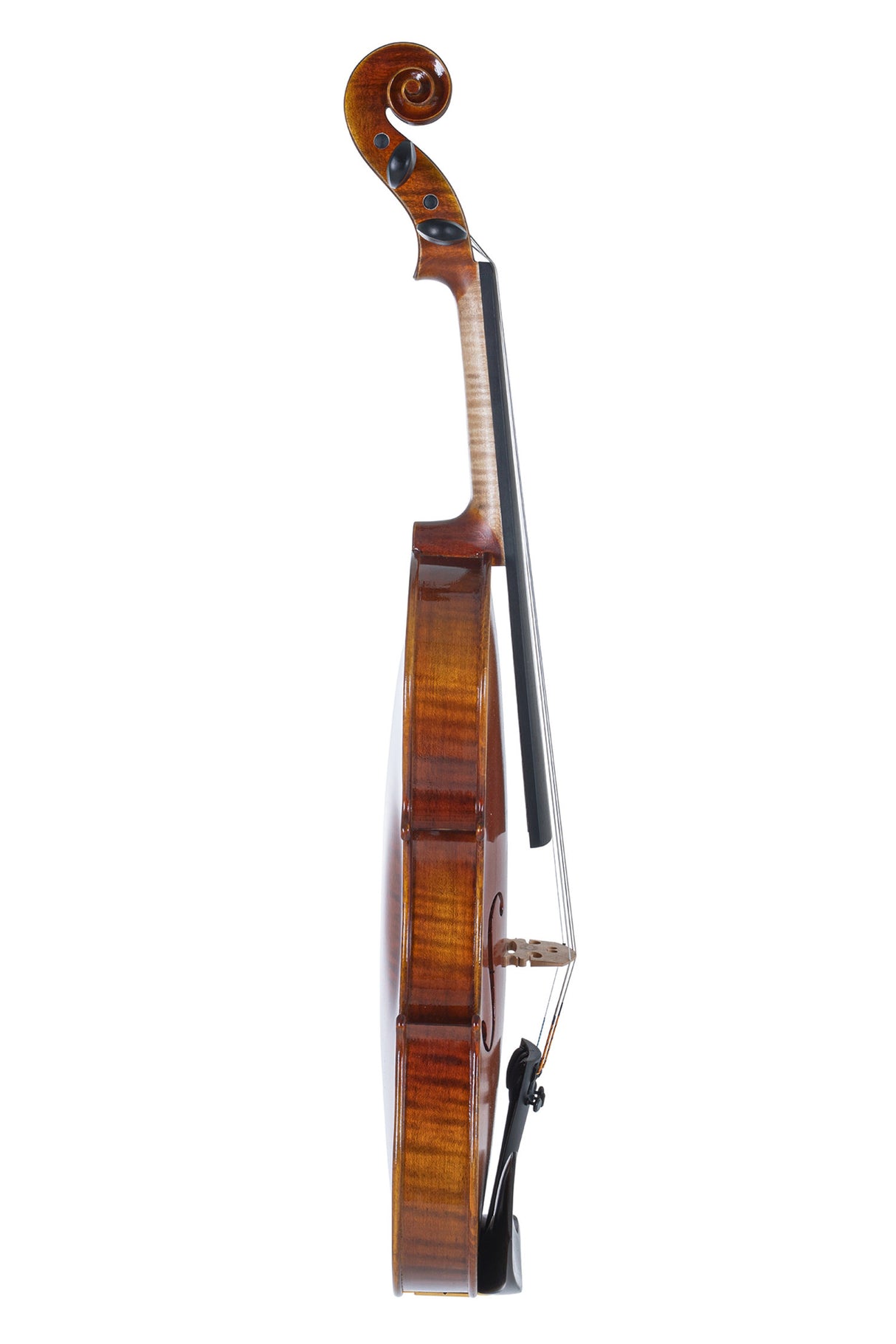 GEWA Violin Maestro 1 - 4/4 (Ready to play incl. shaped case, Massaranduba bow and Il Cannone strings, transport-secured)