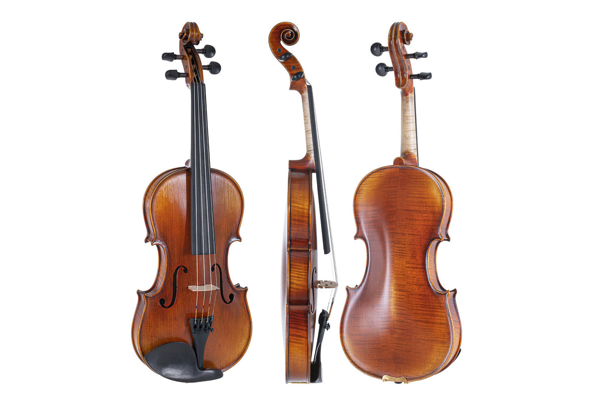 GEWA Violin Maestro 2 - 4/4 (Ready to play incl. shaped case, Massaranduba bow and Il Cannone strings)