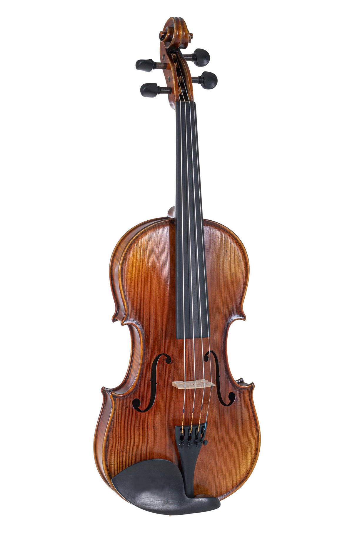 GEWA Violin Maestro 2 - 4/4 (Ready to play incl. GEWA Bio violin case, without bow, with Il Cannone strings)