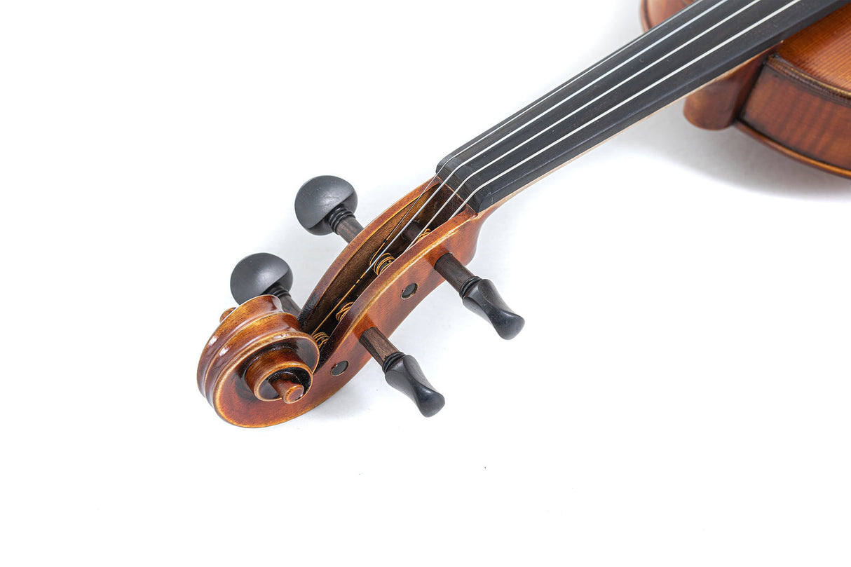 GEWA Violin Maestro 2 - 1/2 (Ready to play incl. shaped case, without bow, with Larsen Aurora strings)