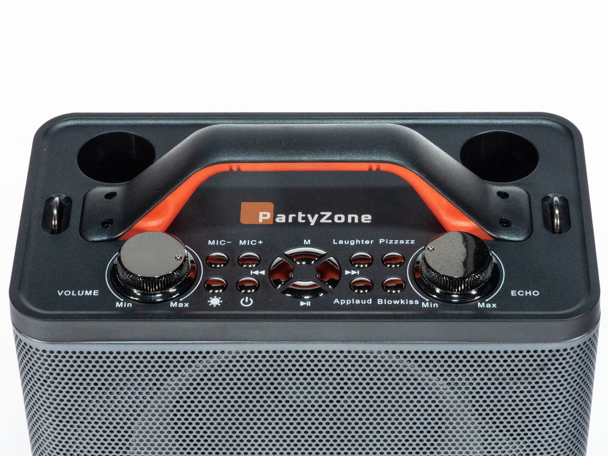 Karaoke anlæg med 2 mikrofoner (Sort)